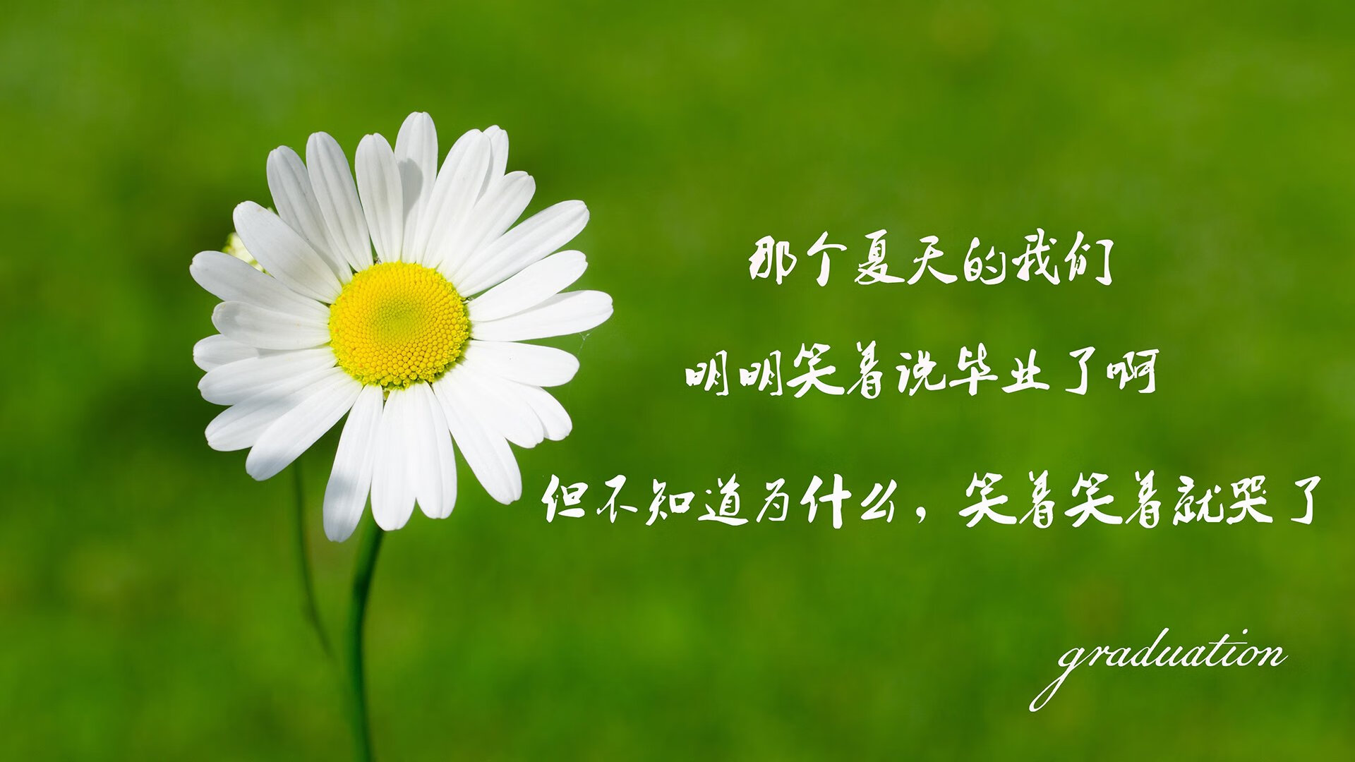世界杯预选赛中国队晋级 球迷热情高涨,世界杯预选赛中国队晋级了吗