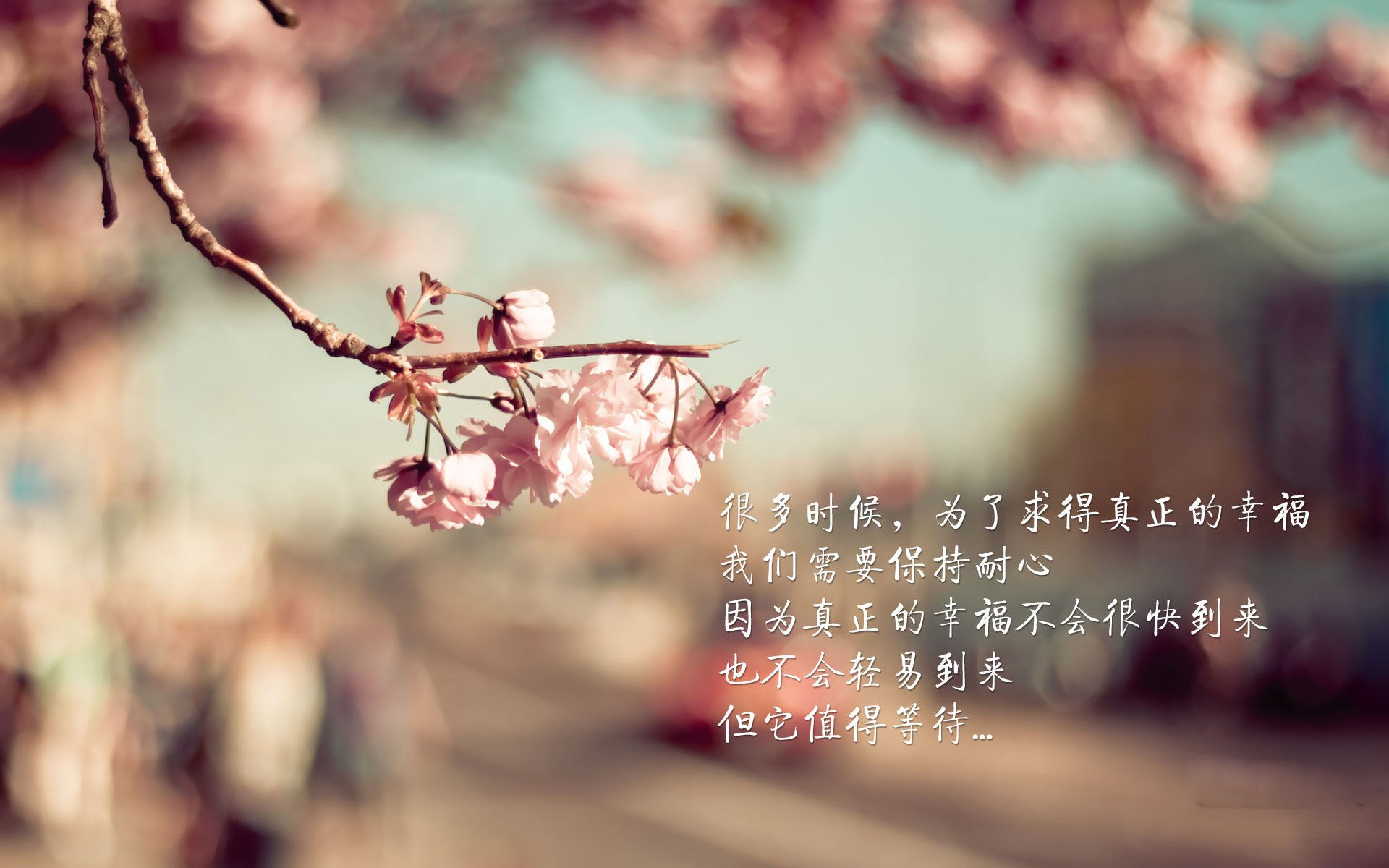 中国男篮围绕核心组织战术 配合逐步流畅,中国男篮专用篮球