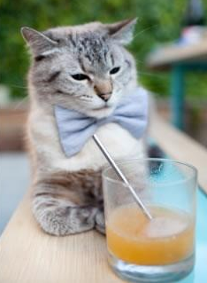 出发到转身的流畅衔接值得称赞