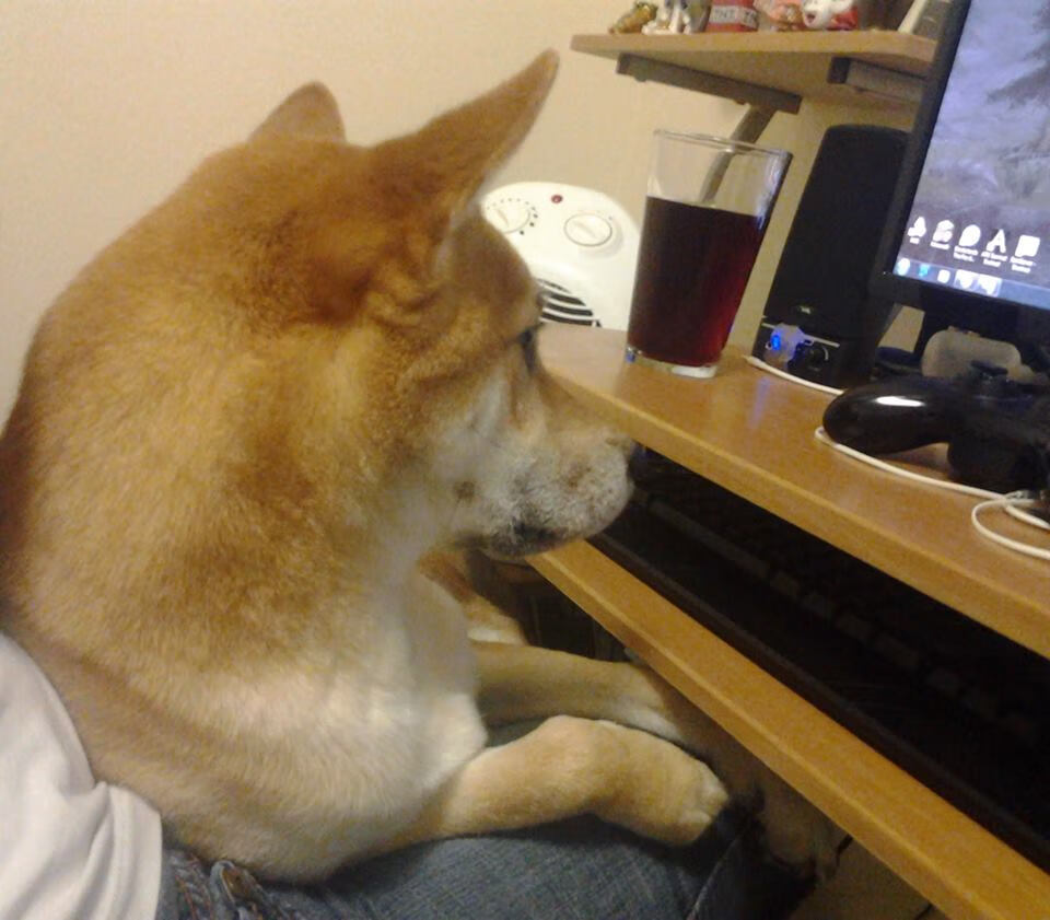 博卡难以摆脱拜仁的前场压制，博卡的主场在哪